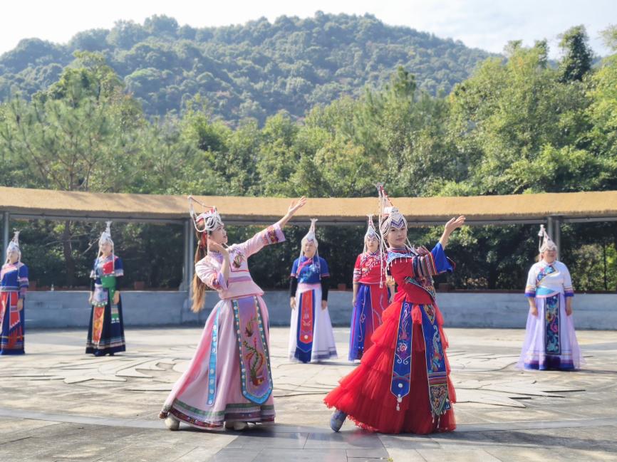 19f47639d4ae21c6b33dce6bfefedfb