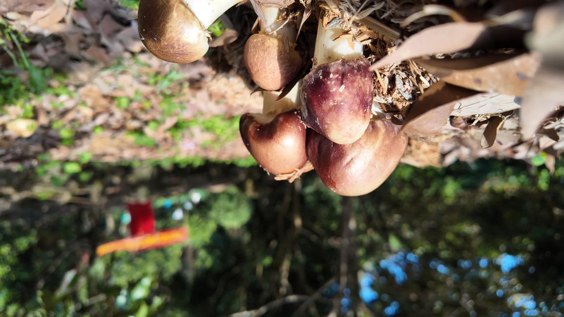 cd62d0f5e775de51240c6e6b631c400