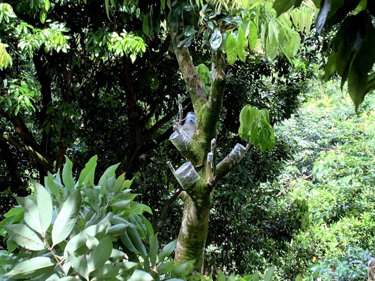 微信图片_20240829203532