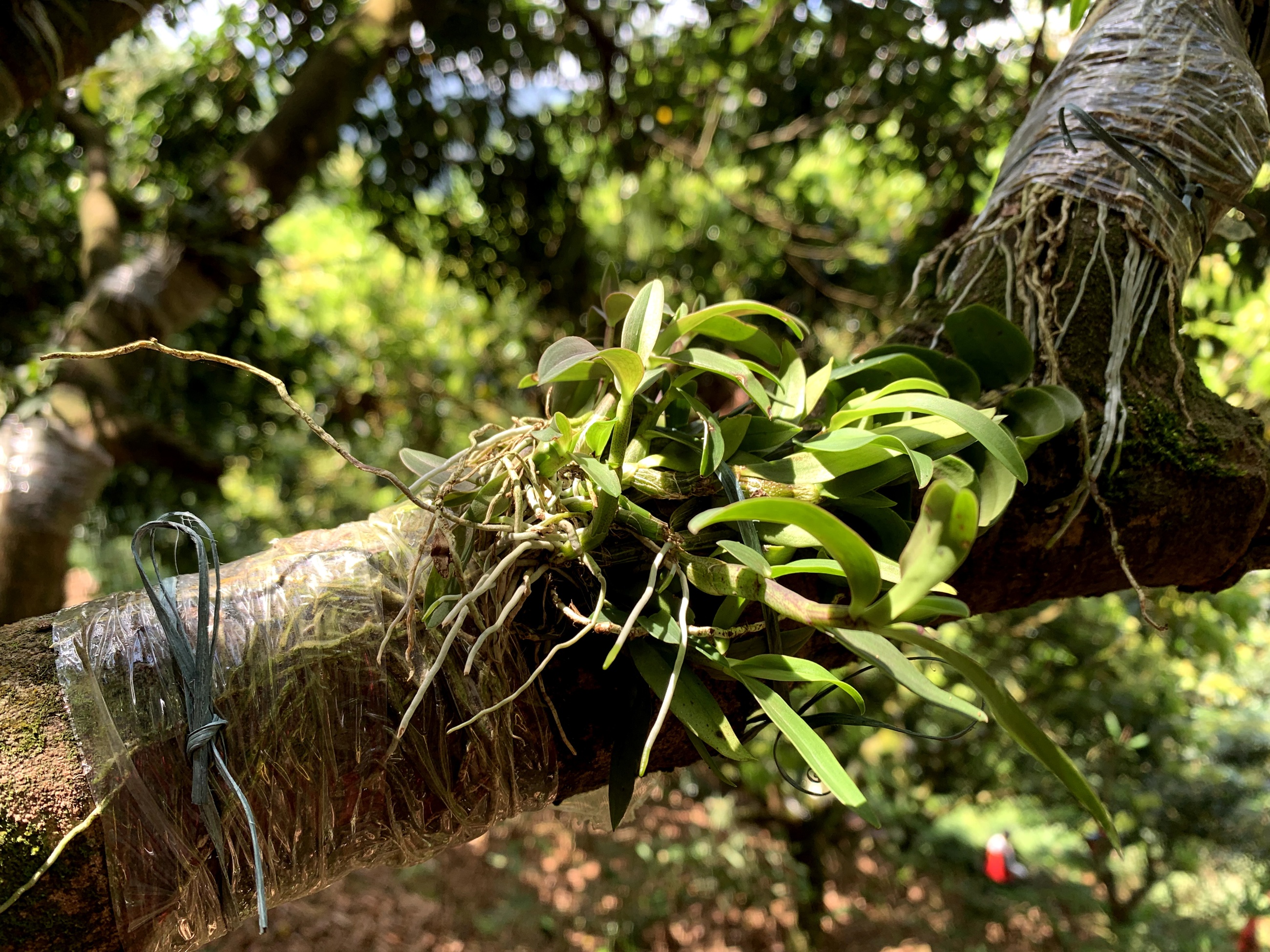 c99a20d859c3467ee1b4bdecda574bb