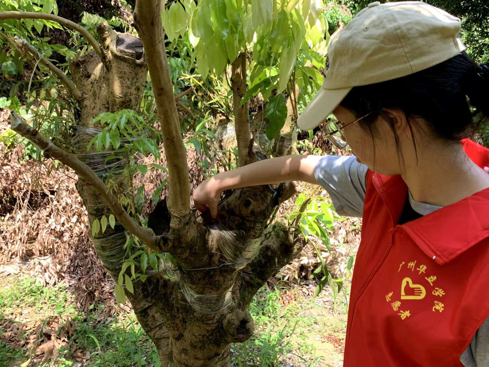 ca1724e0ad10c4c94c19df60e220ead