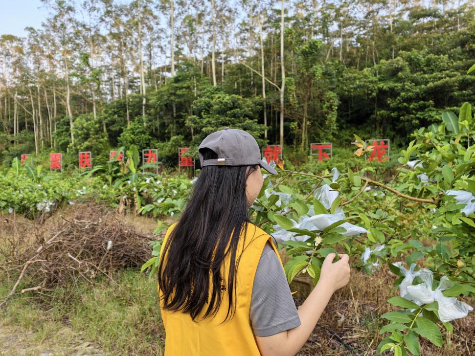 6c5dfeefdc35c0eeb11abb85b44fdcb