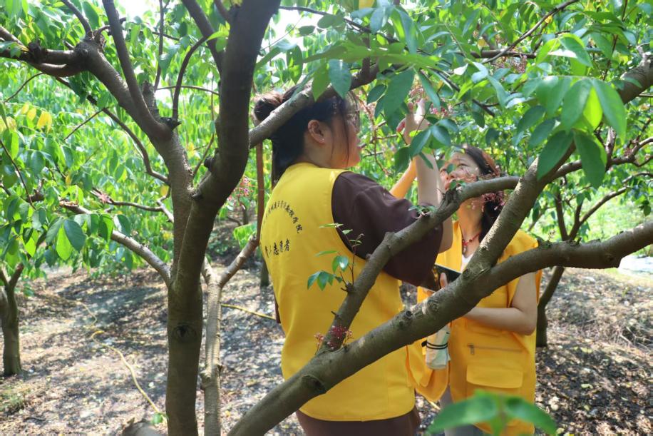 eb0a9f4ecbd327d3373eaefa9519023