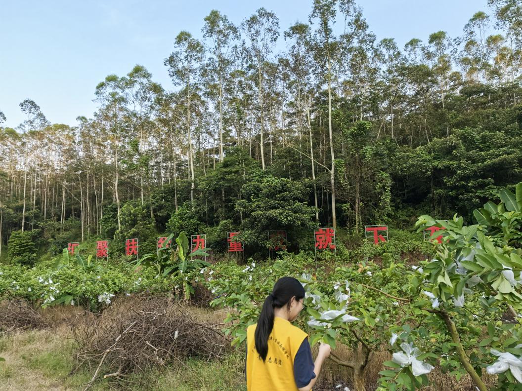 06d34a19a9c8e29671b8c569c0205c3