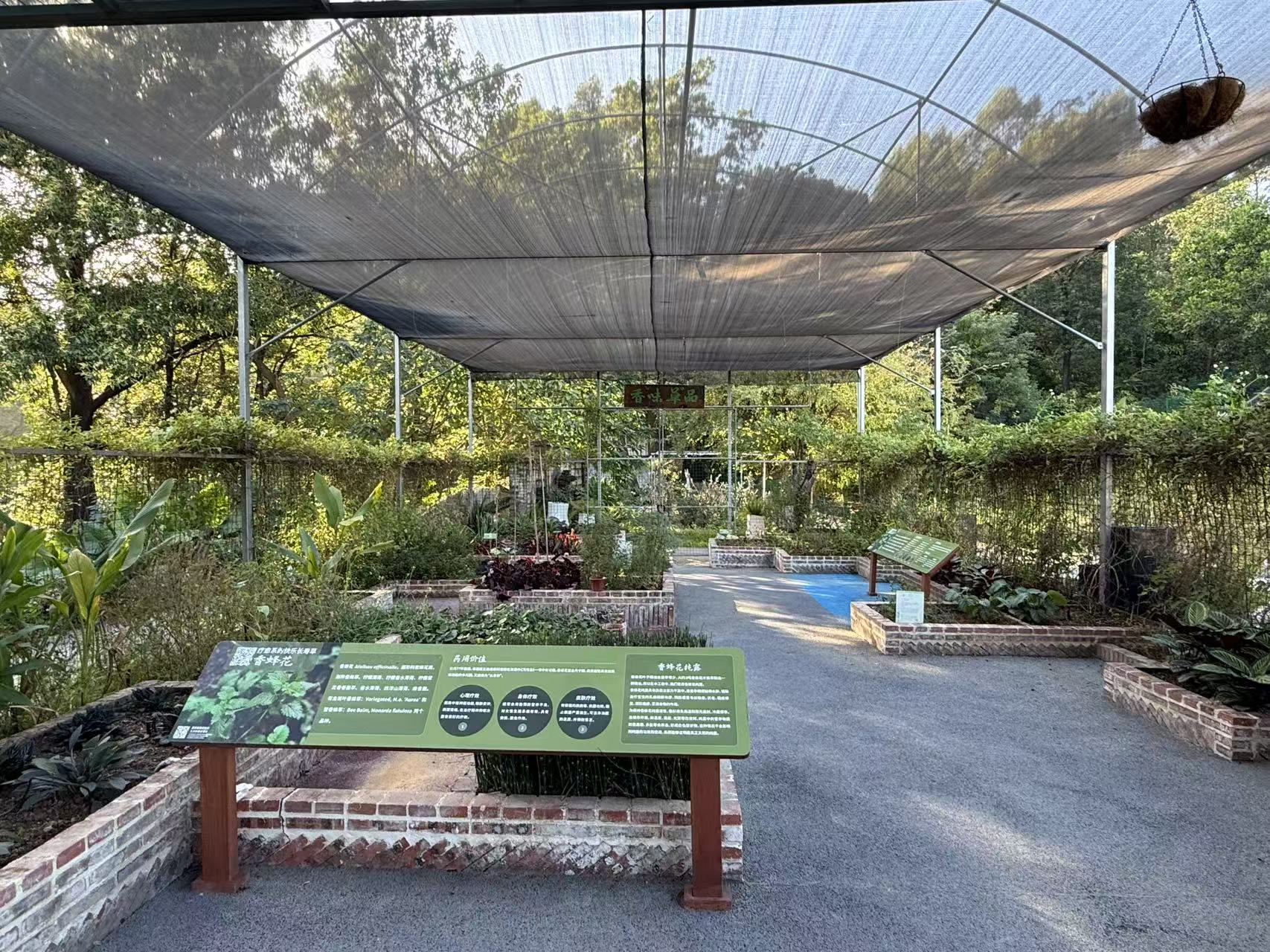 图5 康养疗愈区