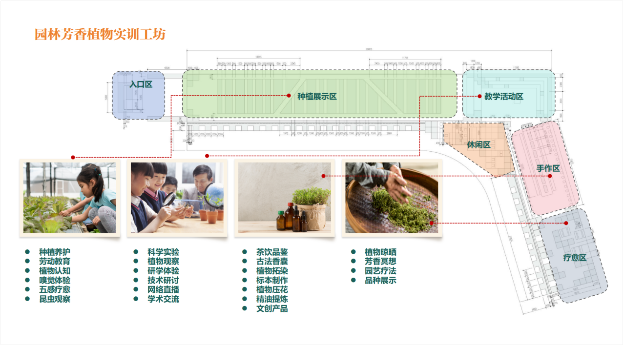 图3 芳香植物实训工坊平面图