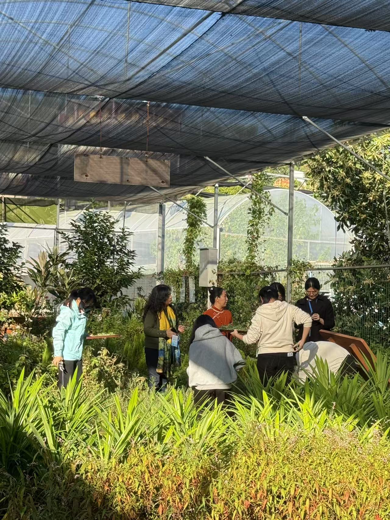 图7 种植展示区师生交流