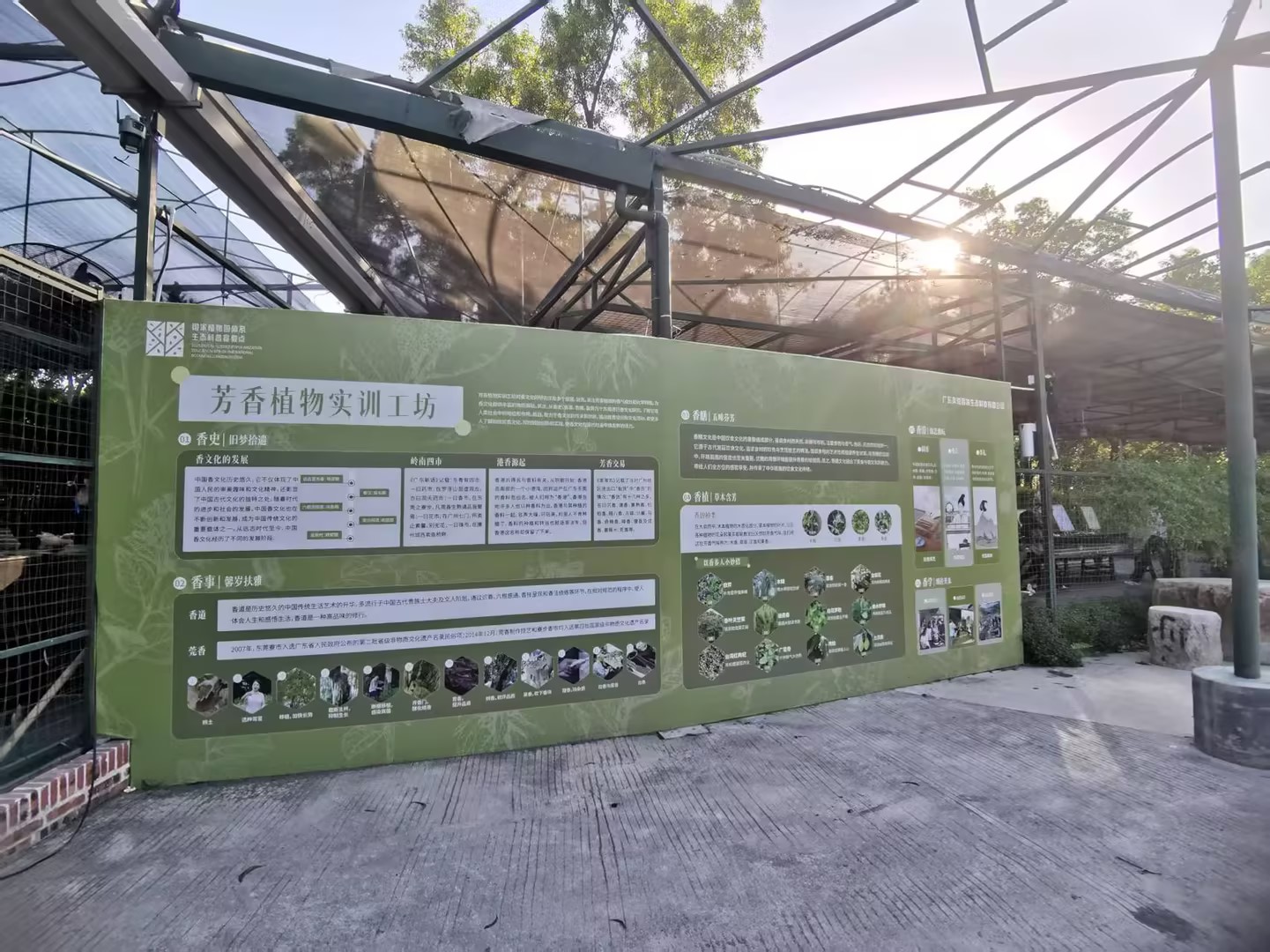 图2 芳香植物实训工坊