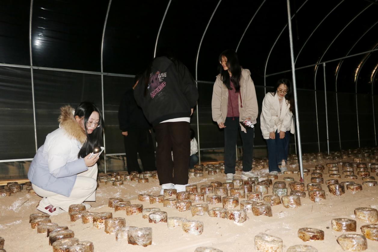 68d8e862e4cda9d7e548a66ebd28b8a6