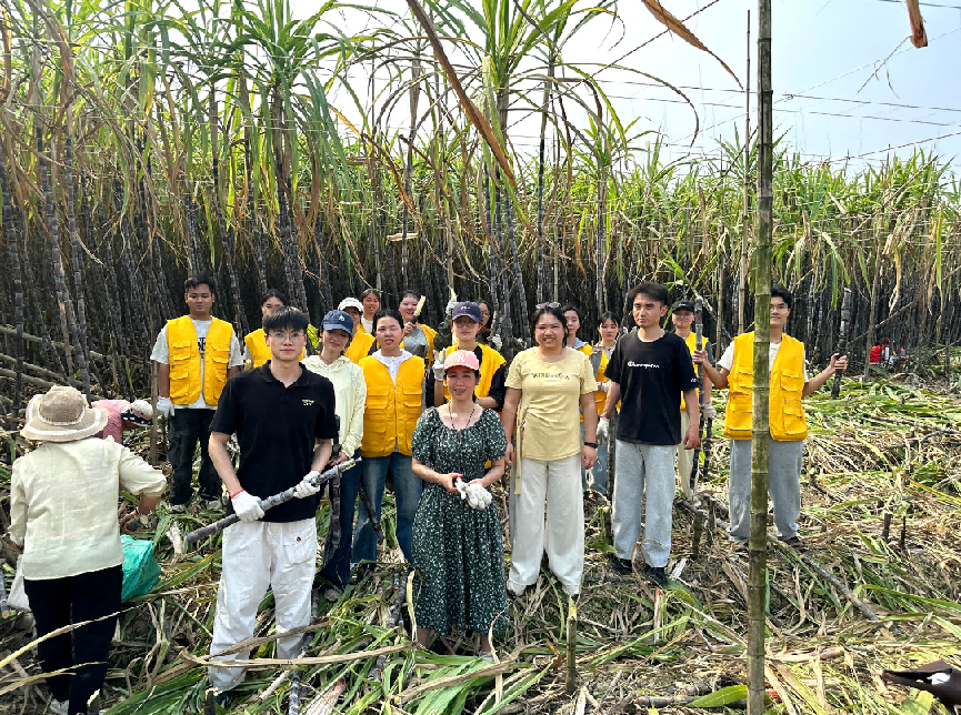 微信图片_20260327123019_57_64