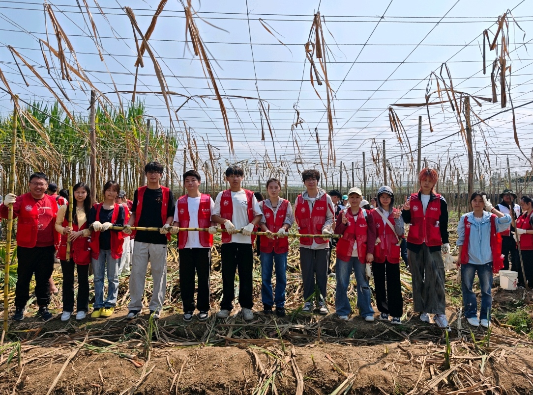 微信图片_20260327123005_55_64