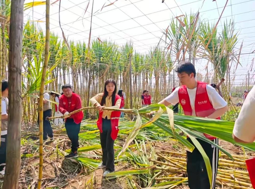 微信图片_20260327124138_58_64