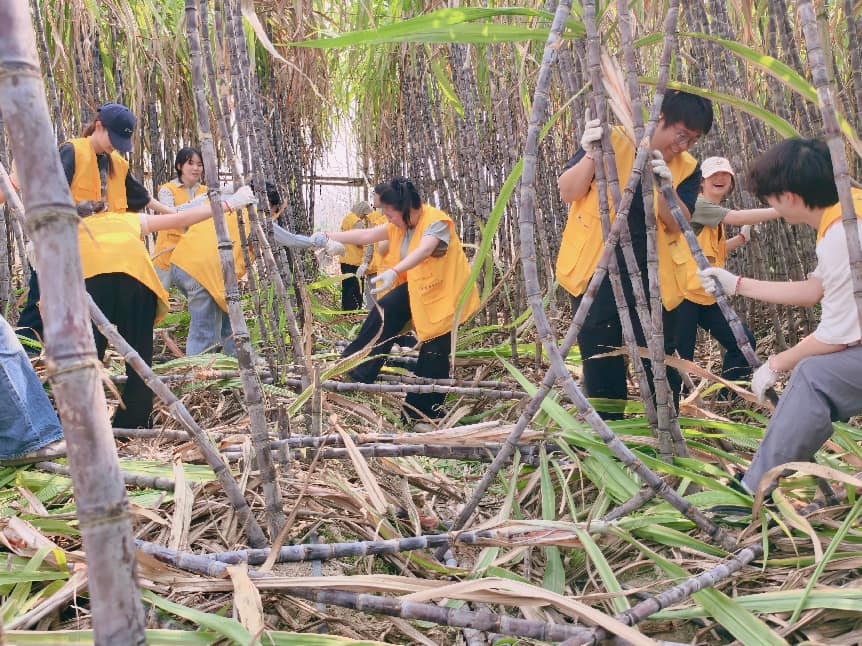 微信图片_20260327123016_56_64