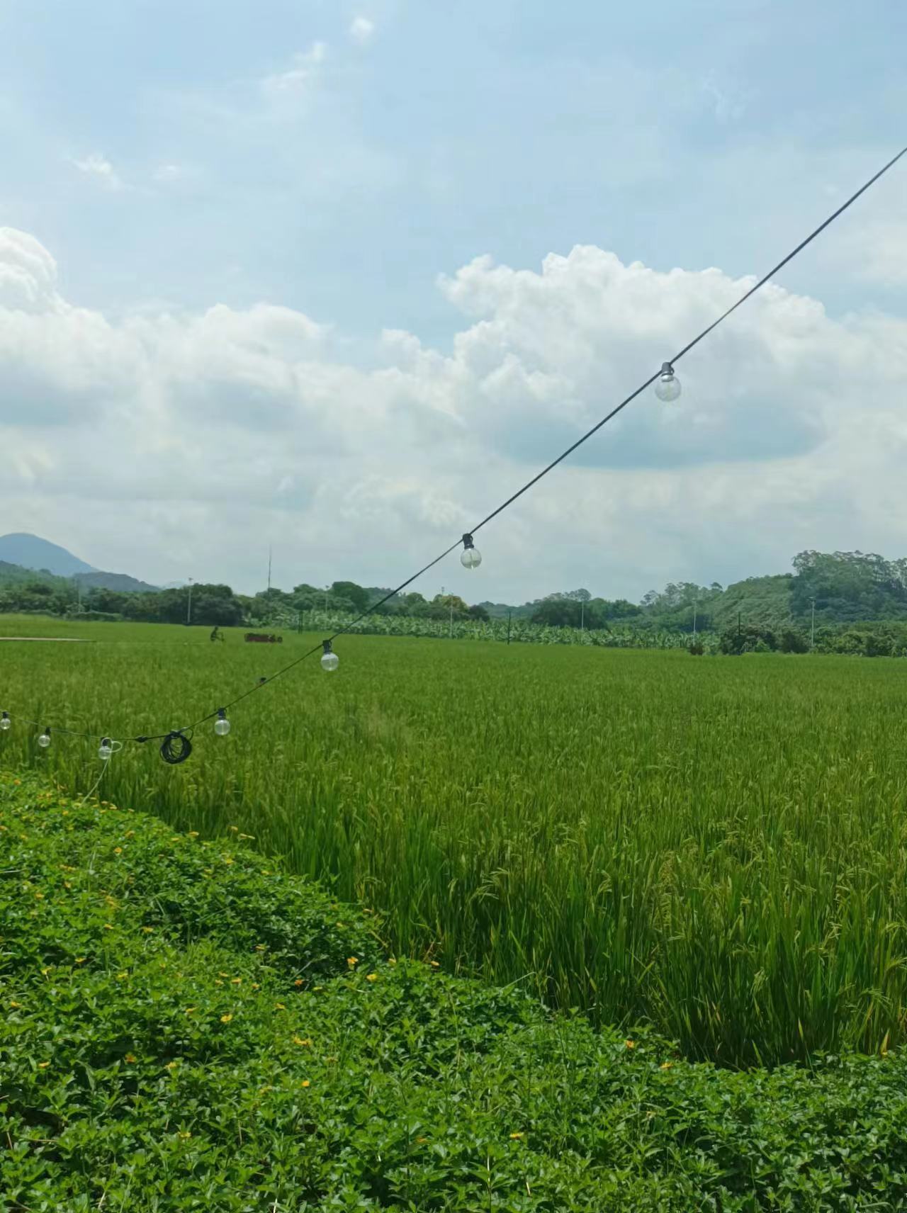 5c4efae956e7c311c833438d3cadb5a