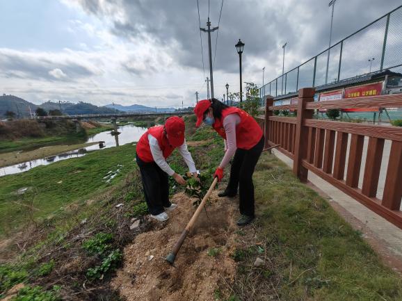 5dc120a89501bdb6faa9ae439652047