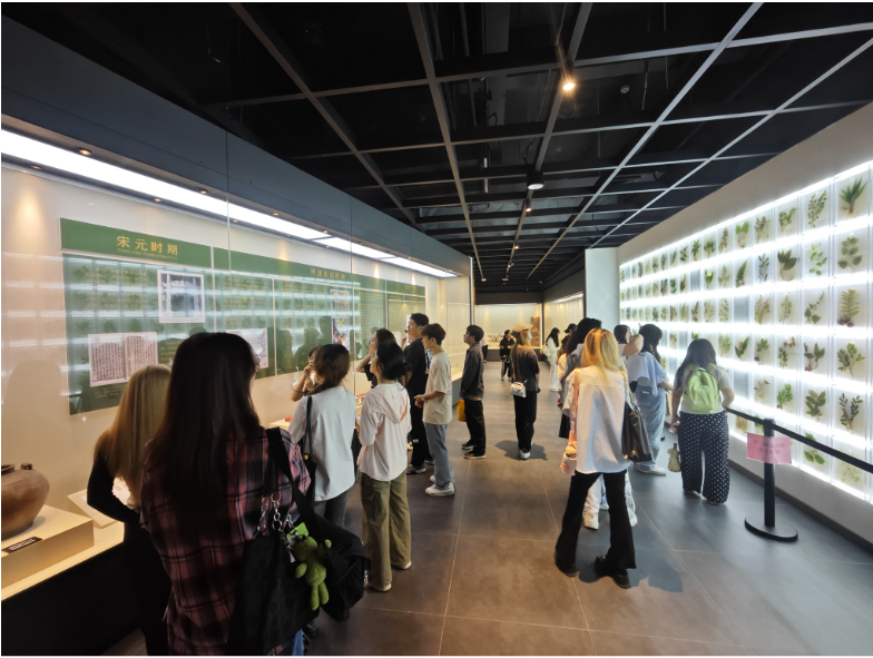 18e863d58c74a4271be5eeab09044e9