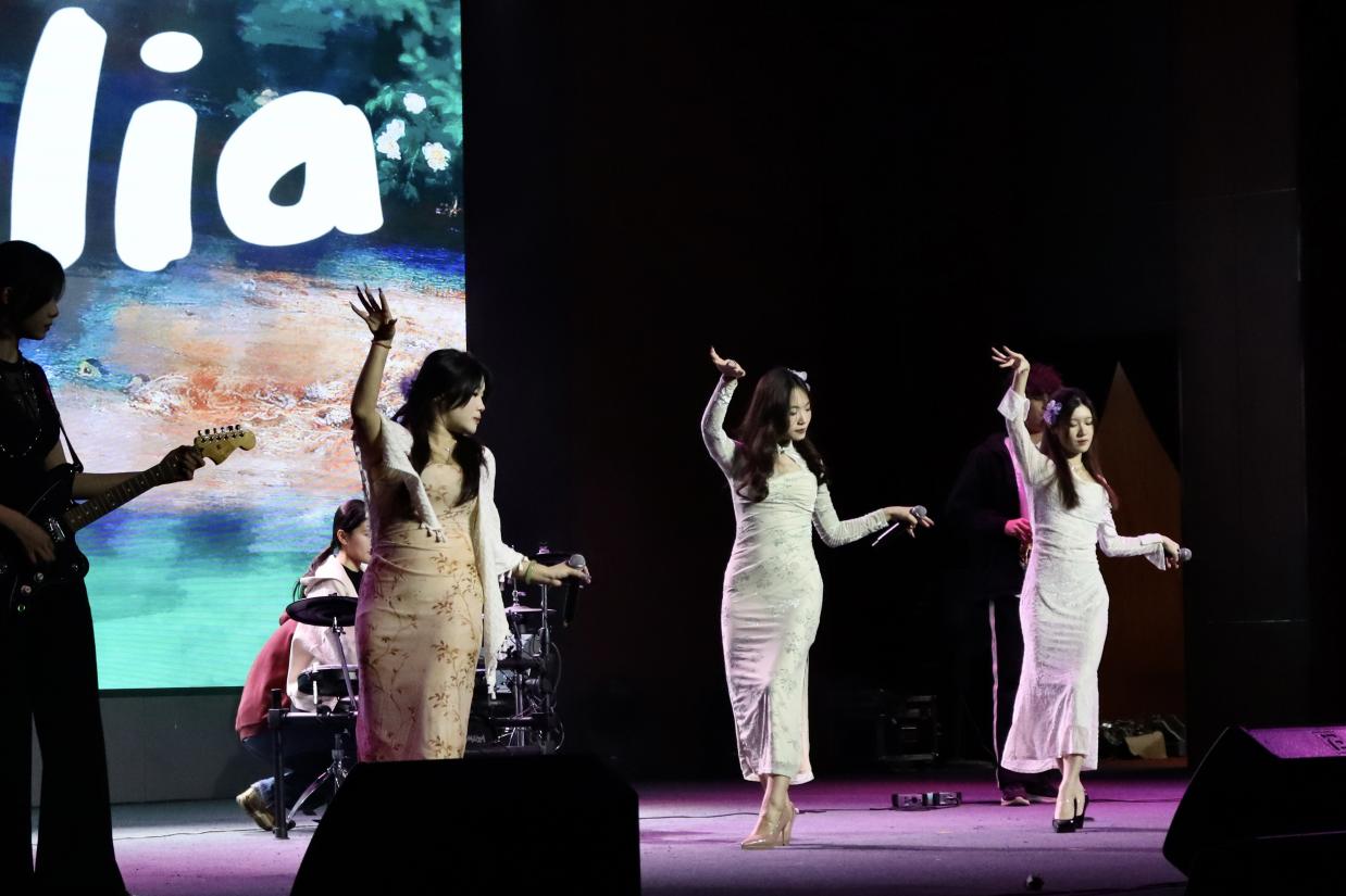 图示, 示意图
中度可信度描述已自动生成:ver1