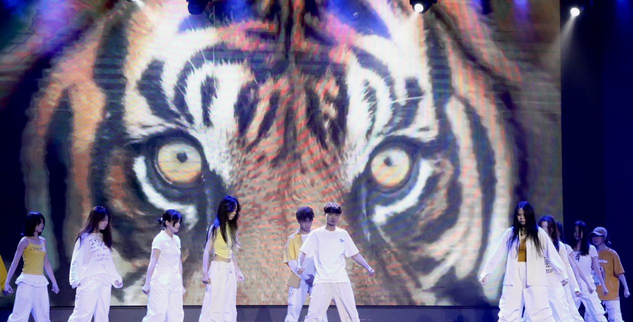 d49bb9b1f3424f2fa4386e241a83717