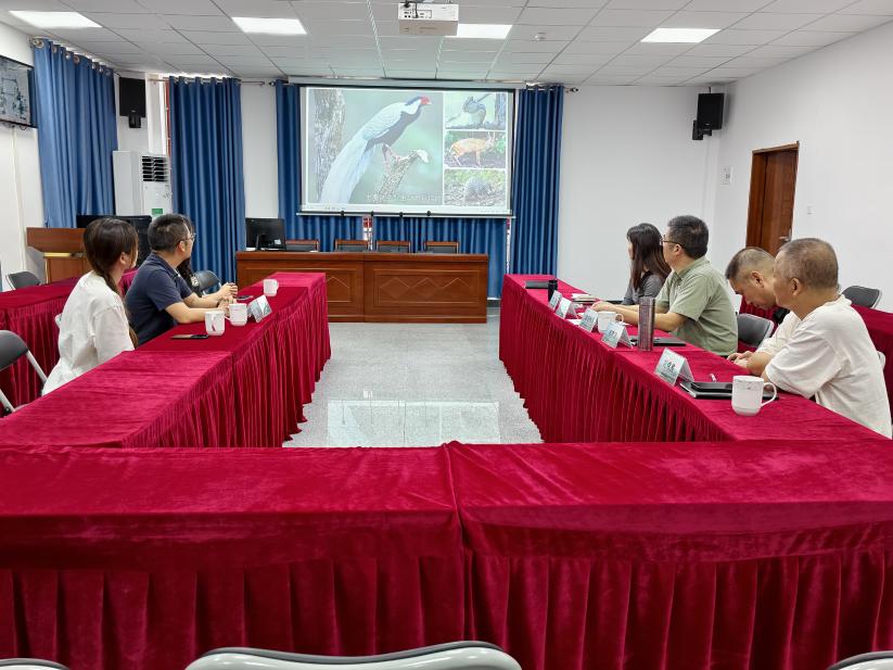 43156fbad28cdbb058d0b61a36d287e8