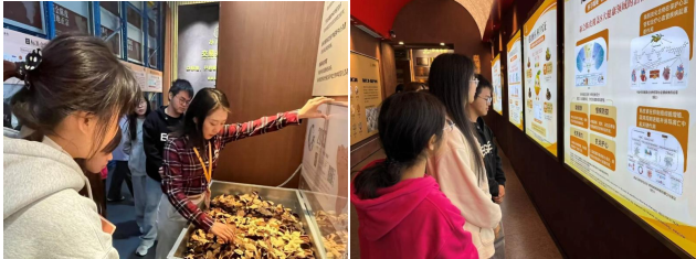 7493db3a3d944e54b76d04a260b326fb