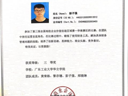 全国高校企业价值创造实战竞赛获奖证书