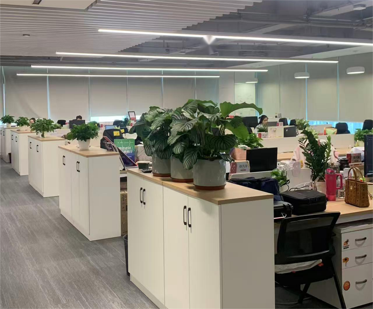 /Users/zhangmin/Library/Containers/com.kingsoft.wpsoffice.mac/Data/tmp/photoeditapp/20251115215222/temp.pngtemp