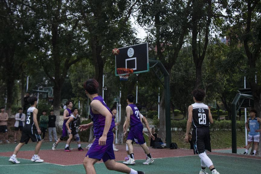 图片8.png