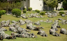 加强人民防空工作 构筑城市防护体系——“羊城天盾——2017”增城华立学院人防宣传活动