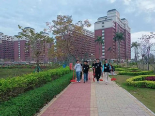 学习雷锋 | 青年志愿者与你同行