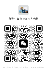 QR 代码

AI 生成的内容可能不正确。