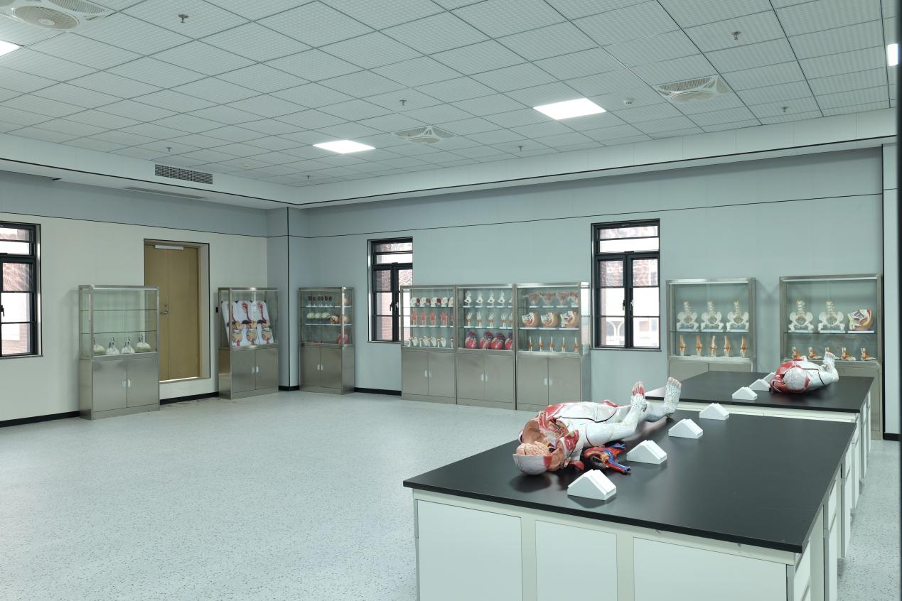 3bc8acb7131298e2fcbac1740a07162