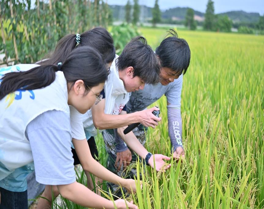 男孩和女孩在草地上
AI 生成的内容可能不正确。