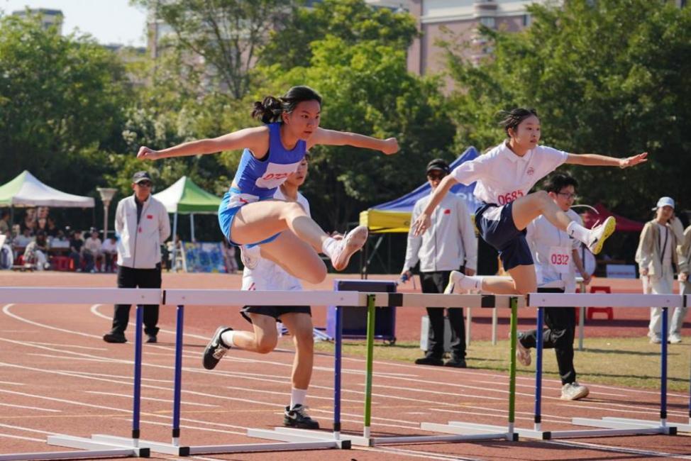 DSC00556-opq4217901201