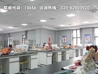 人体形态学实验室