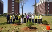 ​广州华立学院江门校区开展植树节活动