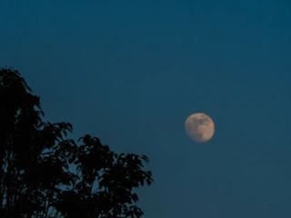 校园之美，倾诉于镜（第三期）