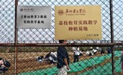广州华立学院（江门校区）荔枝松茸实践教学种植基地揭牌启用——首场教学实践活动圆满举行