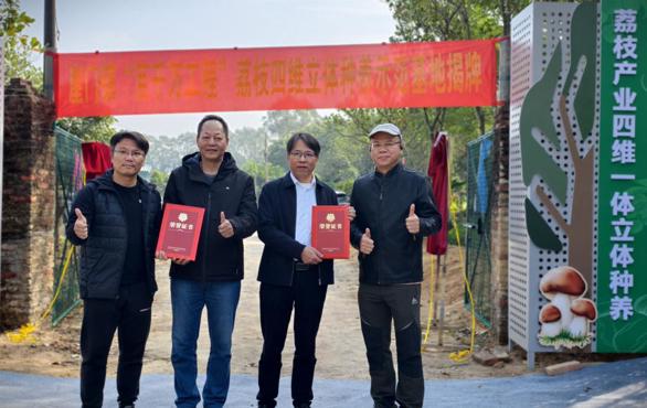 崖门镇荔枝产业 “四维一体” 立体种养基地揭牌仪式