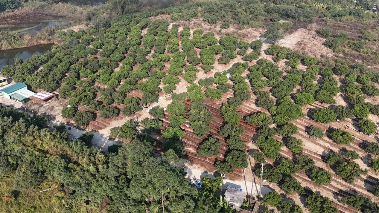 6889a0be2e231a47f7cea298e5dbe0b8_compress