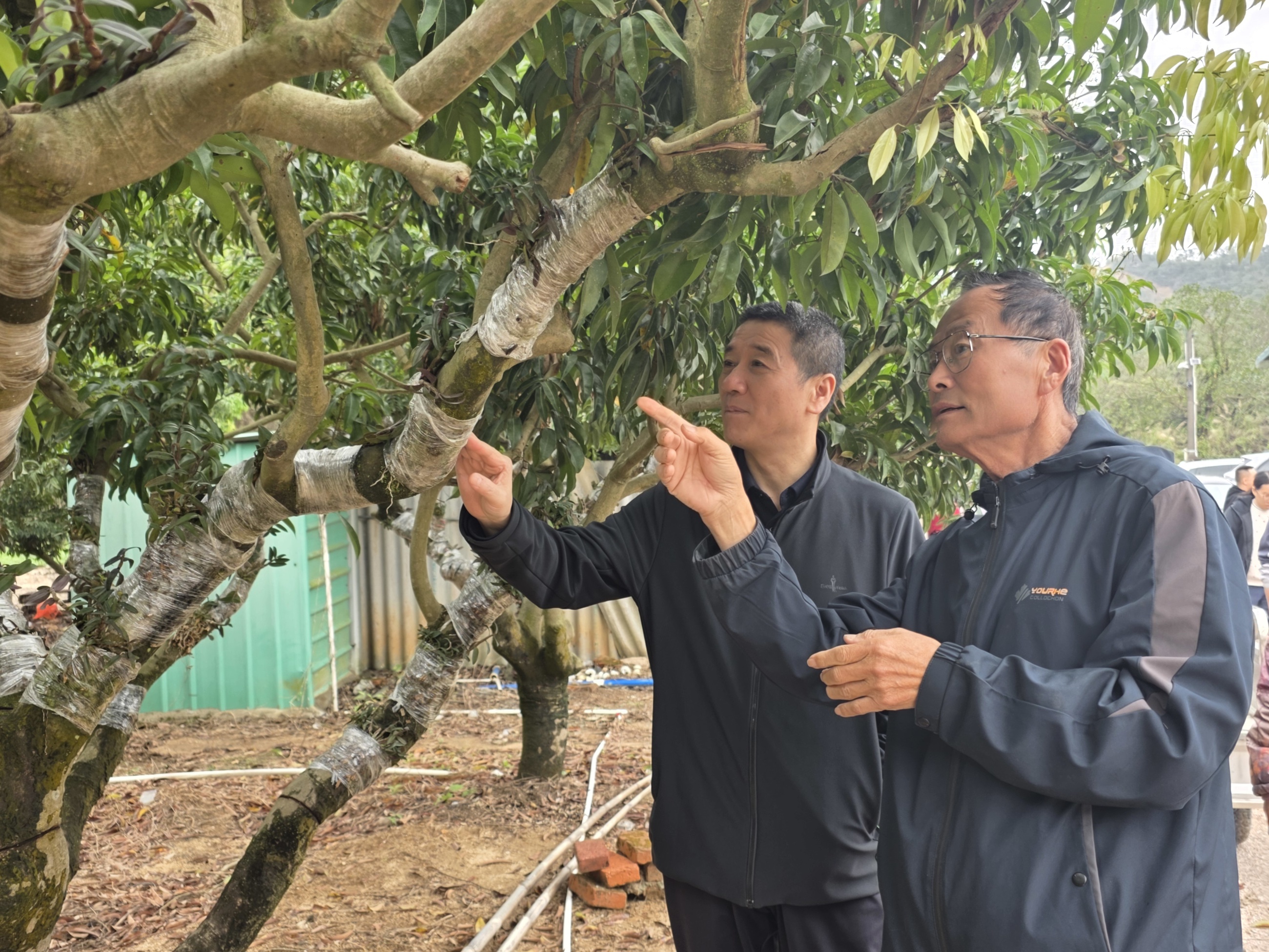 66156a86ecdbb4ef5d41ae3009eda769_origin(1)