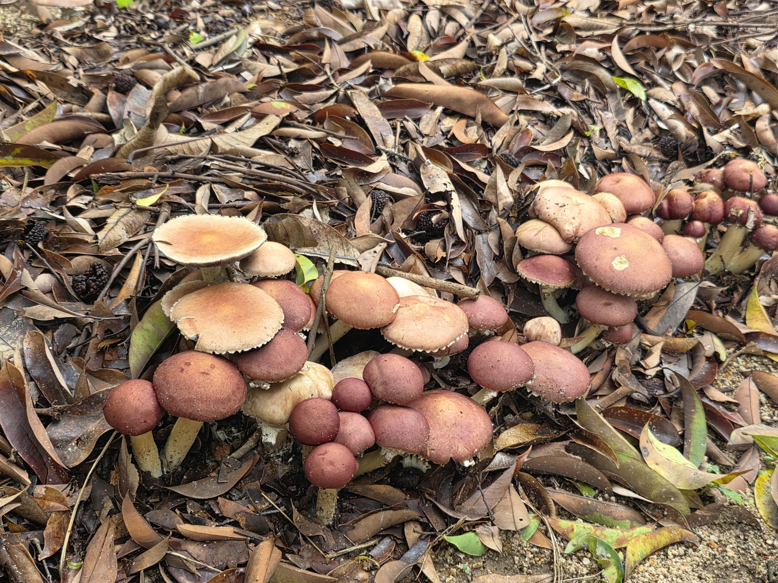 88900a7b3d55e4fa59ddf22b945365ed_origin(1)