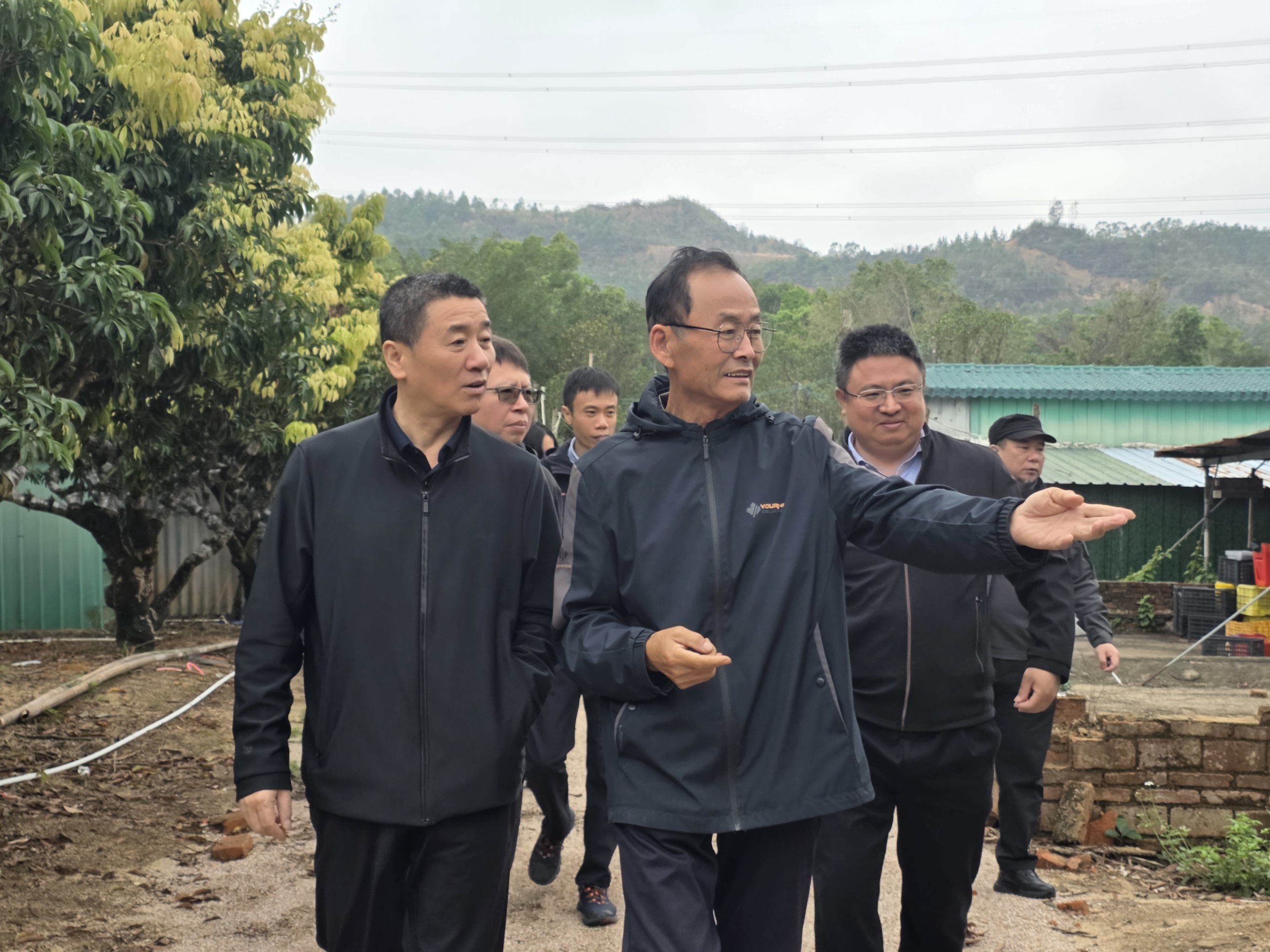 23ee017d884b724ea4cf0ed8d85e2e78_origin(1)