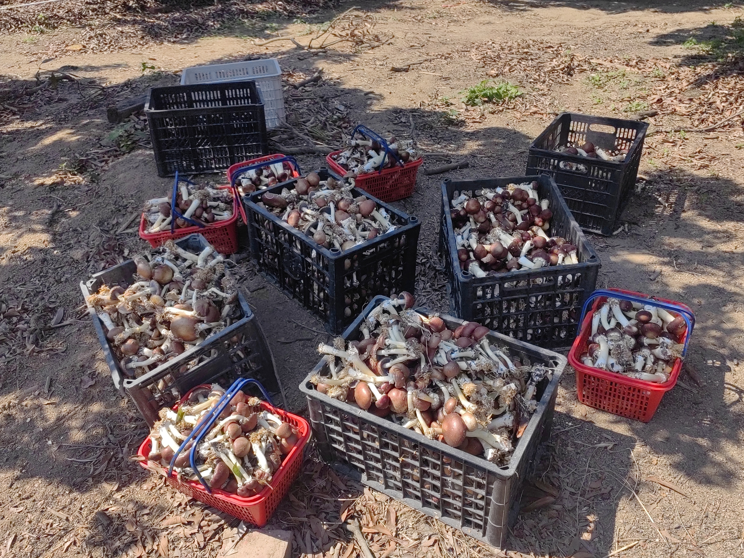 81dcf573196c2d55b8858002d85823c5