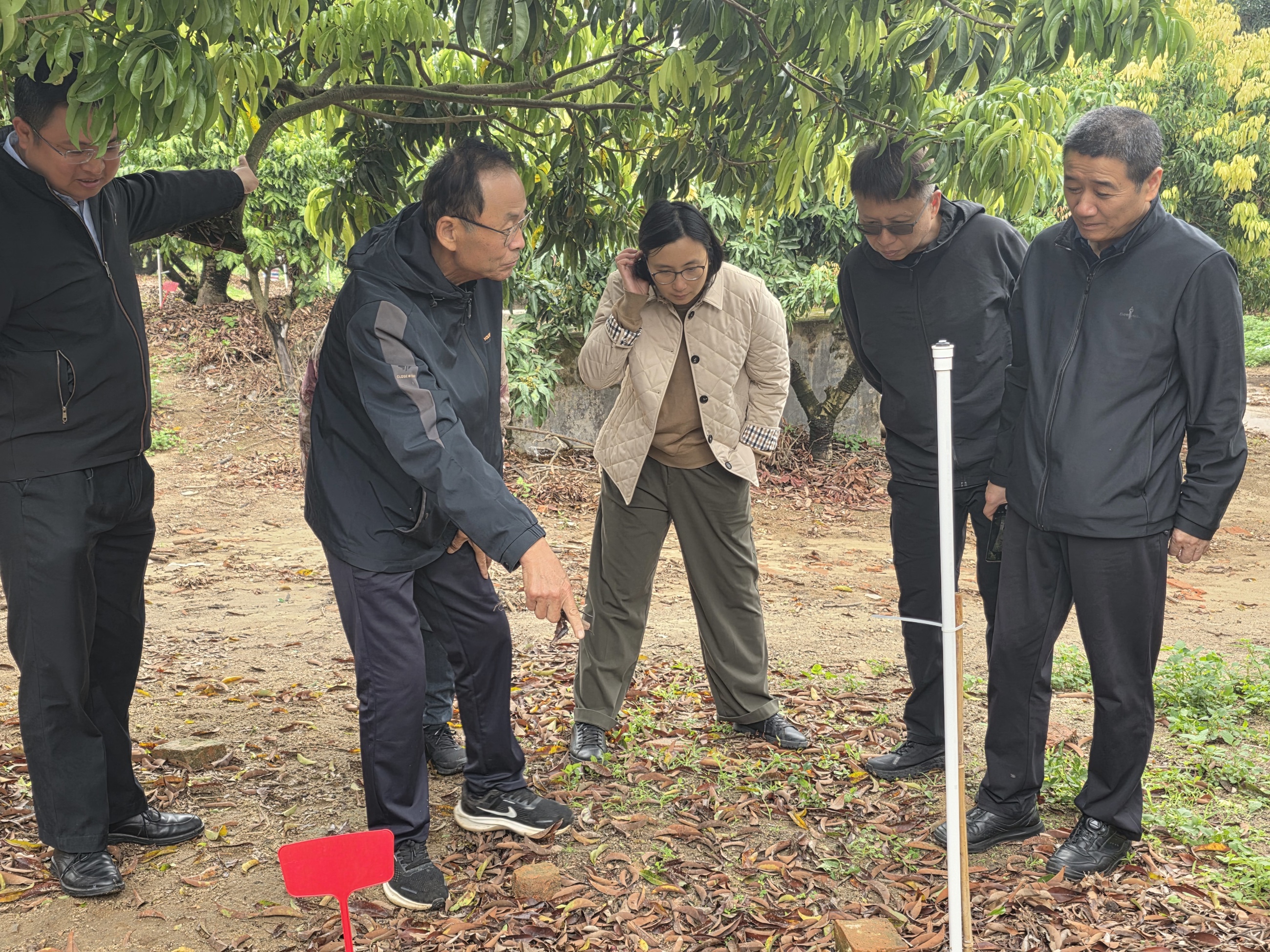 460eb72744d720ac4437c6bdc33182bb_origin(1)