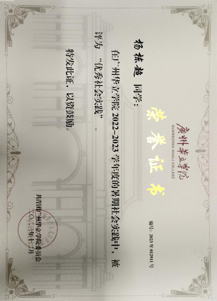 10.校级-优秀社会实践