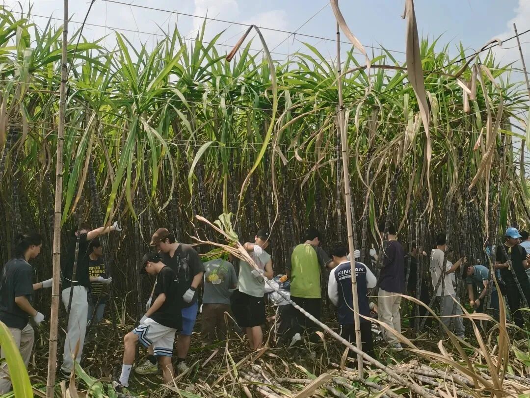 df0f416c2743886afd2ab51f58a1db6ca9c54996