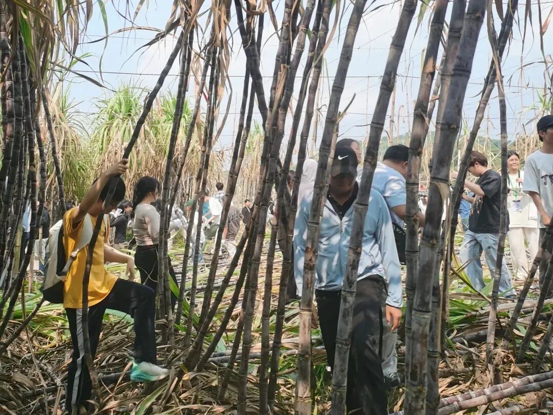 db54ecb93c01d1b9b83bb8b8c22c7693d6b0815a