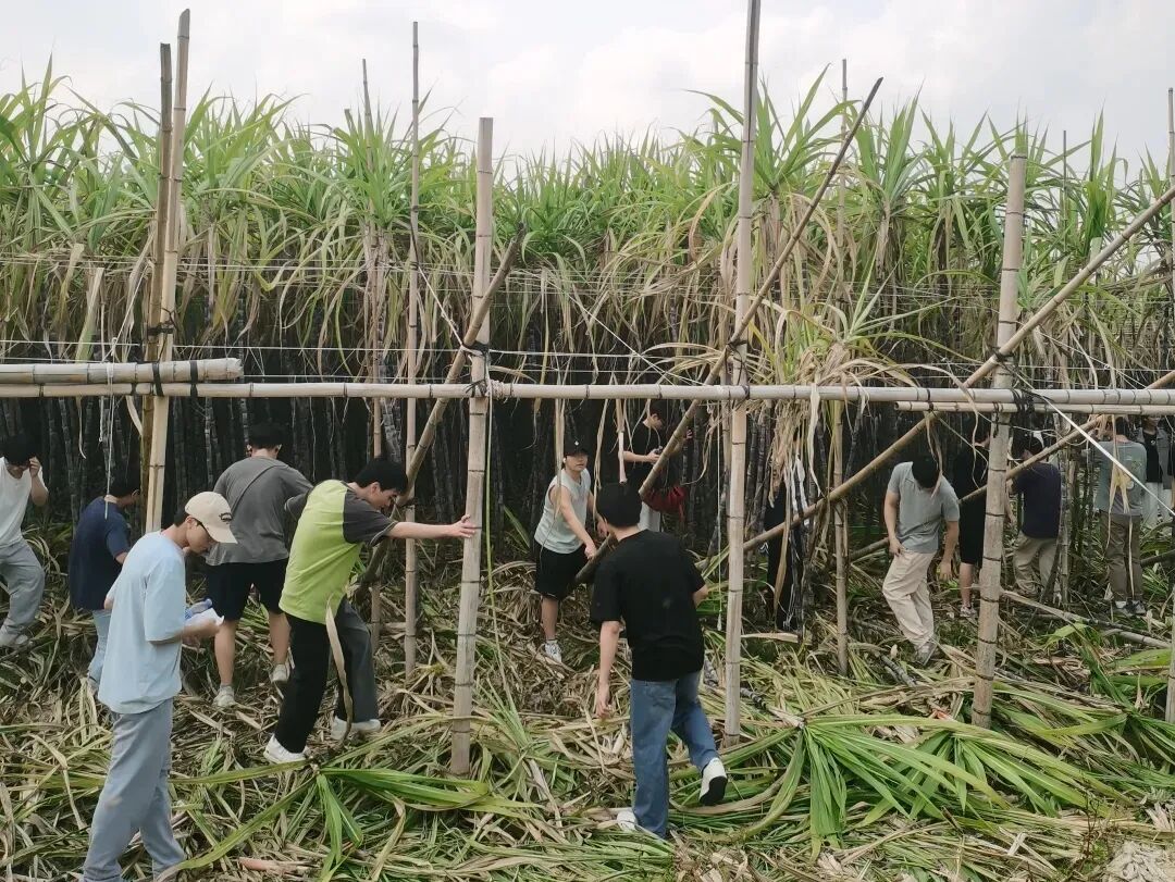 8625a502621c8e3bc42054f7c7aaa62c1cfc2c9c