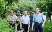 树上结荔枝，树下生灵芝｜华立五维一体生态共生，一把钥匙开多把锁！