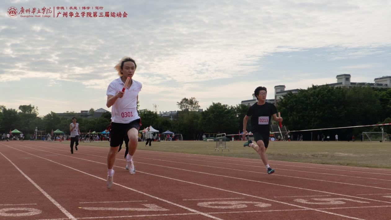 3a0ee1b181e90ad346abf3faad024cf